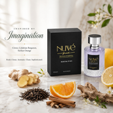 NUVE No.19 Aris - Imagination