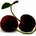Black_Cherry.