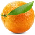  Brazilian_Orange