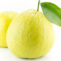  Calabrian_bergamot
