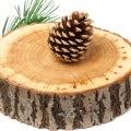  Cedarwood