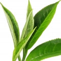 Chinese_Black_Tea