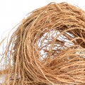 Haitian_Vetiver