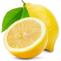 Italian_Lemon