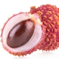  Litchi