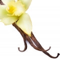 Madagascar_Vanilla.