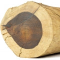 Palisander_Rosewood.