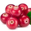 Red_Berries