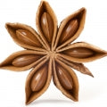  Star_Anise