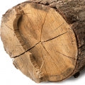Woody_Notes