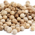 coriander